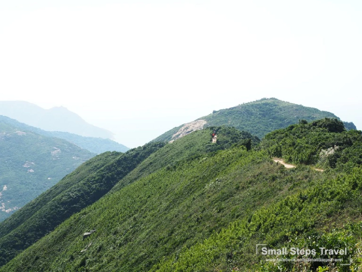 เดินป่า รับพลังบนหลังมังกร ทริปเดินป่าระยะสั้นที่ฮ่องกง ฉลองเปิดประเทศ