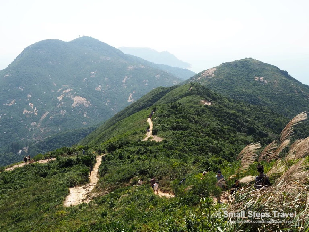 เดินป่า รับพลังบนหลังมังกร ทริปเดินป่าระยะสั้นที่ฮ่องกง ฉลองเปิดประเทศ