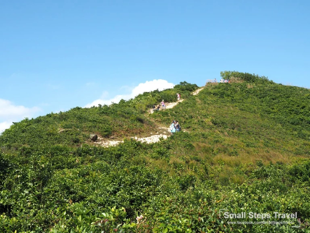 เดินป่า รับพลังบนหลังมังกร ทริปเดินป่าระยะสั้นที่ฮ่องกง ฉลองเปิดประเทศ