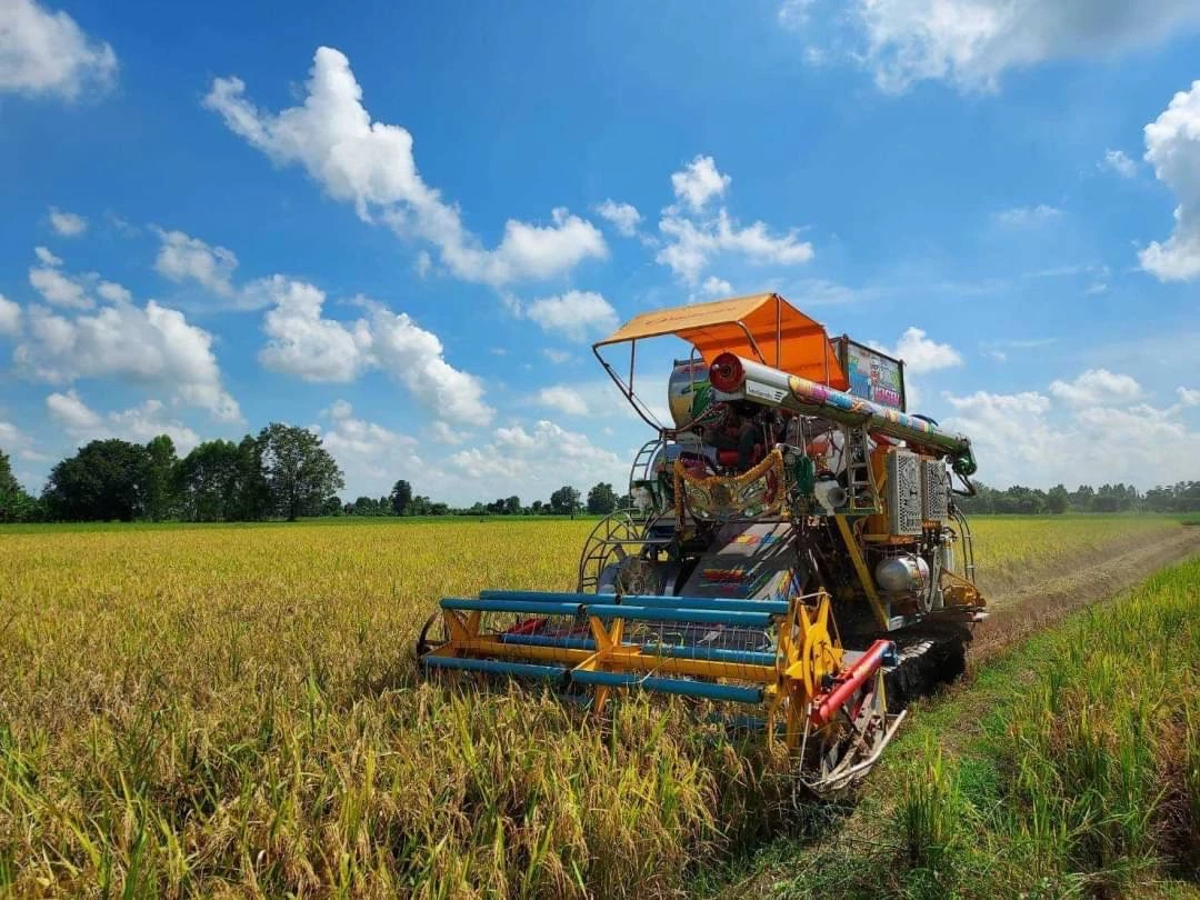 "แปลงใหญ่ข้าว" บ้านกระบวยทองใต้ ต่อยอดสู่การแปรรูปสร้างรายได้มั่นคง