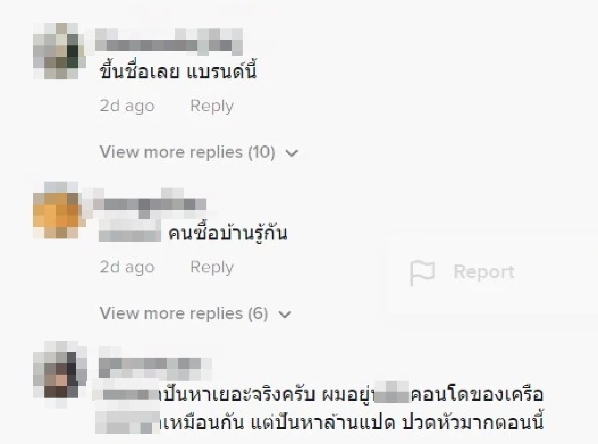 บ้านหรู, สภาพ, TikTok, แบรนด์หรู