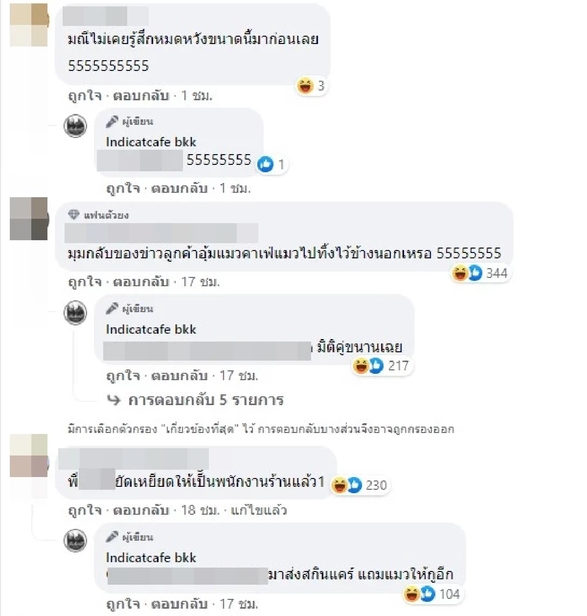 แมว, คาเฟ่แมว, อุ้มแมว, ขนส่ง