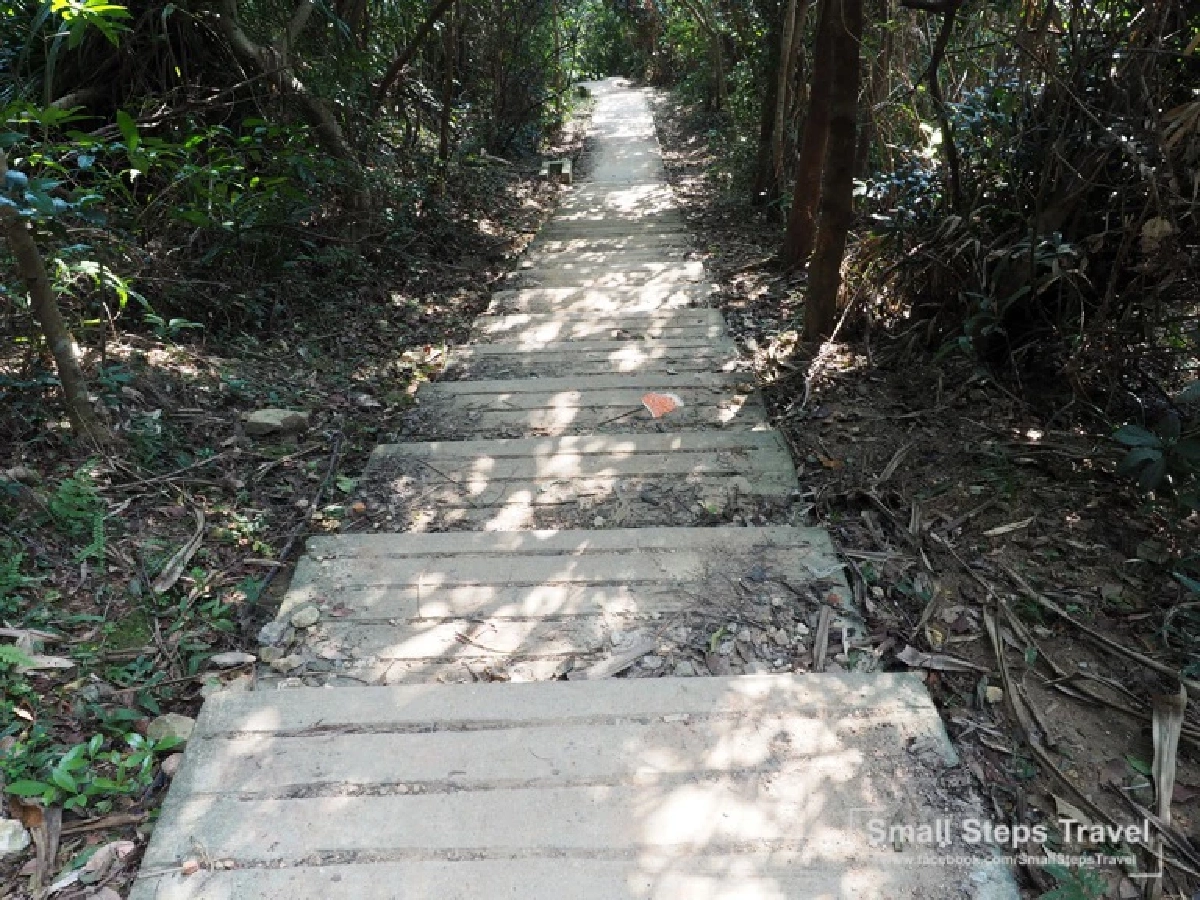 เดินป่า รับพลังบนหลังมังกร ทริปเดินป่าระยะสั้นที่ฮ่องกง ฉลองเปิดประเทศ