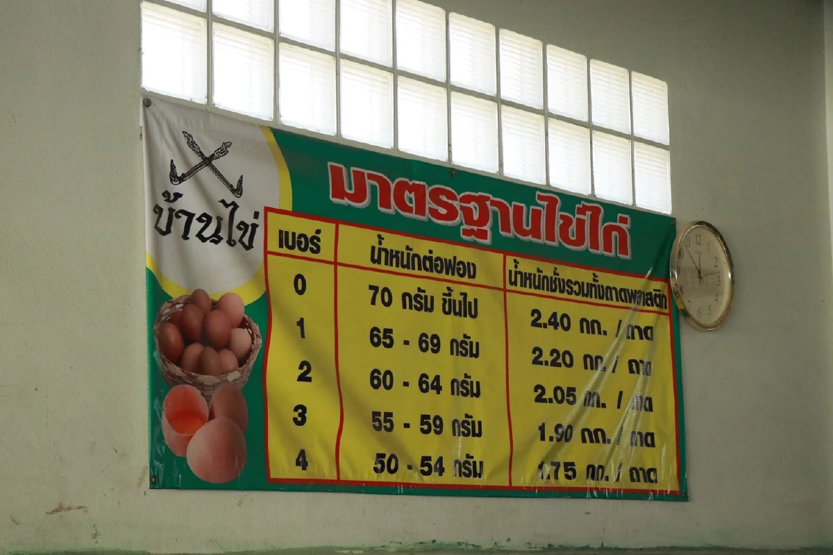 "ไข่ไก่" คาดจะแพงไปจนถึงเทศกาลสงกรานต์ เนื่องจากผลราคาอาหารสัตว์สูงขึ้น