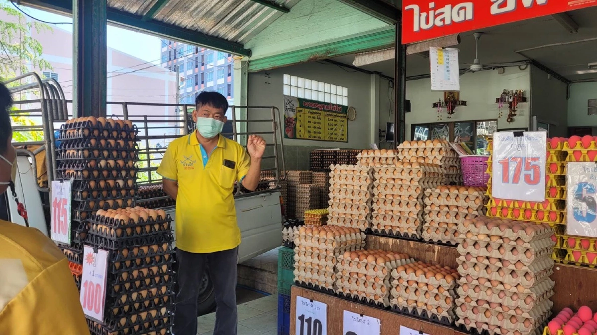 "ไข่ไก่" คาดจะแพงไปจนถึงเทศกาลสงกรานต์ เนื่องจากผลราคาอาหารสัตว์สูงขึ้น