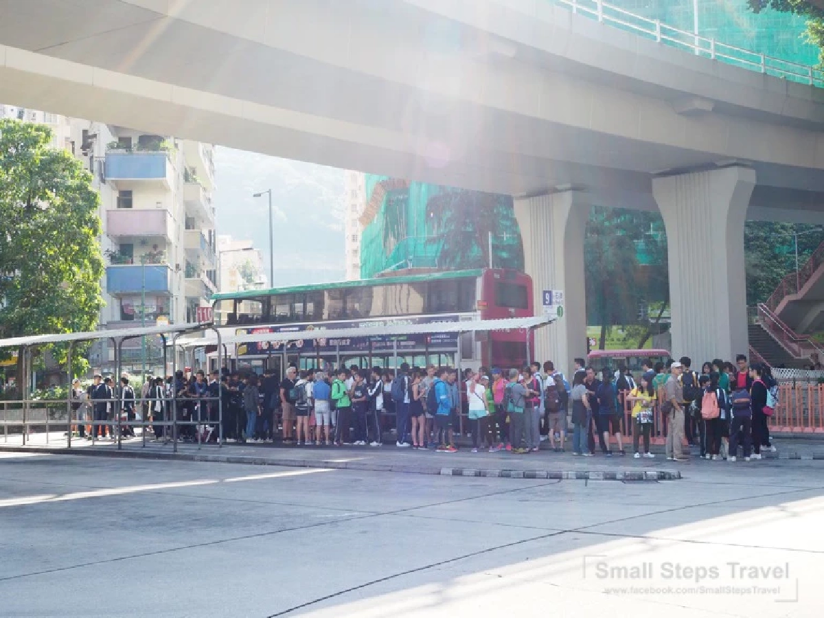 เดินป่า รับพลังบนหลังมังกร ทริปเดินป่าระยะสั้นที่ฮ่องกง ฉลองเปิดประเทศ