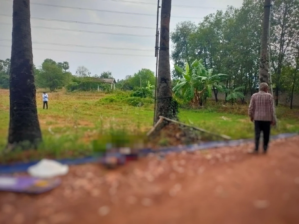 สลด คุณตา ปืน "ต้นตาล" สูง 20 เมตร เลี้ยงชีพ เกิดพลัดตก ร่างกระแทกพื้นเสียชีวิต