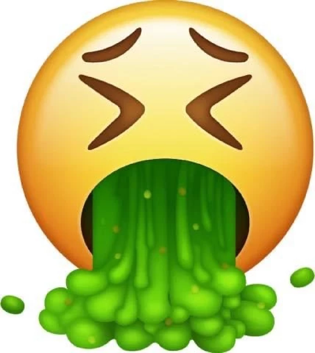 สลด สื่อดังสหรัฐฯ เผย ก่อนตาย "เชสลี คริสต์" โดนชาวเน็ตบูลลี่มาตลอด