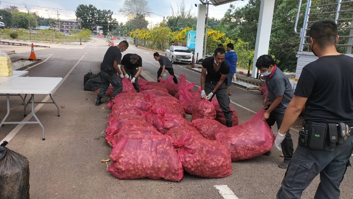 จับคาด่าน "ยาบ้า 5 ล้านเม็ด" ขนจากเชียงใหม่ ลำเลียงส่งเอเย่นสุราษฎร์ธานี