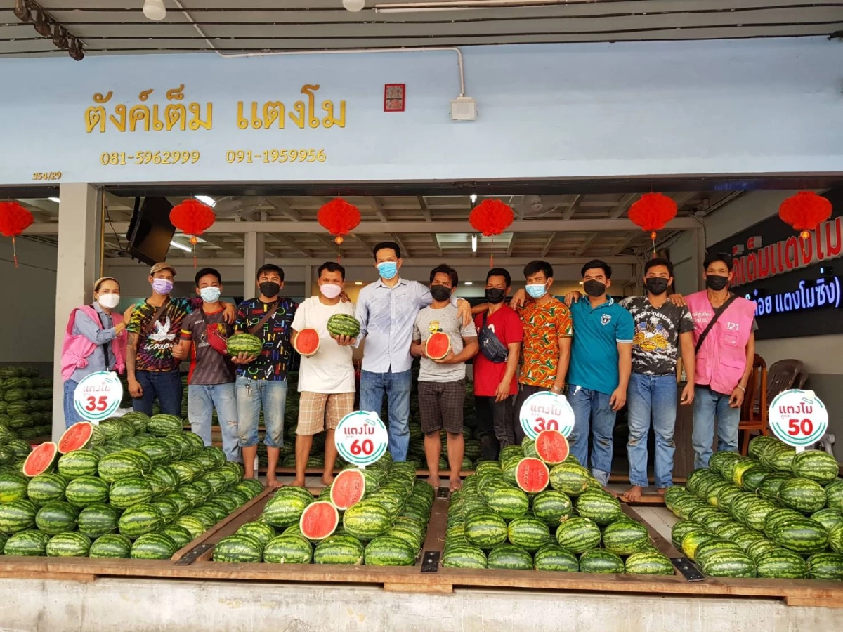 สุดอึ้ง อาชีพทีมโยนคัดแยก "แตงโม" รับวันละ 8 พัน สร้างรายได้หลักแสนต่อเดือน