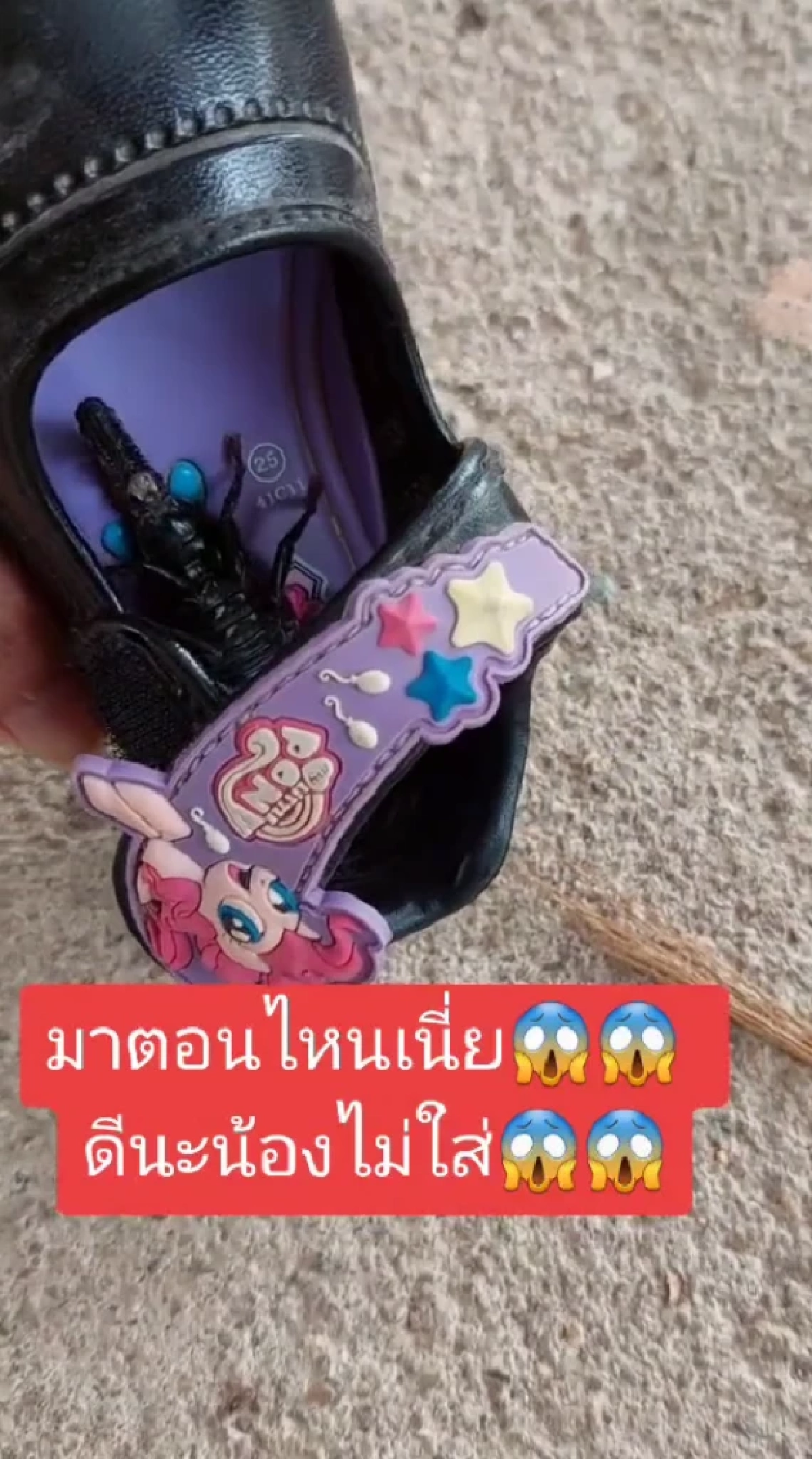 นักเรียน, รองเท้านักเรียน, รองเท้า, แมงป่อง, เตือนภัย