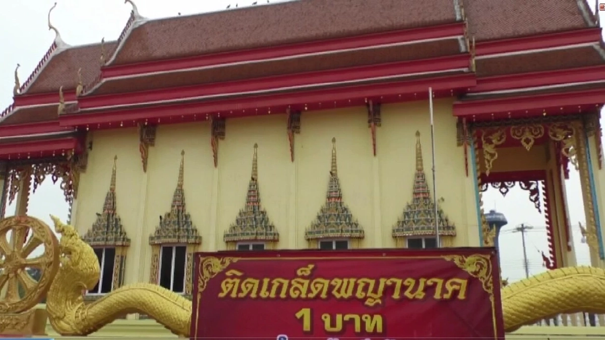 ทำบุญติดเกล็ด \"พญานาค 4 ตระกูล\" วัดศรีศรัทธาธรรม สมุทรสงคราม