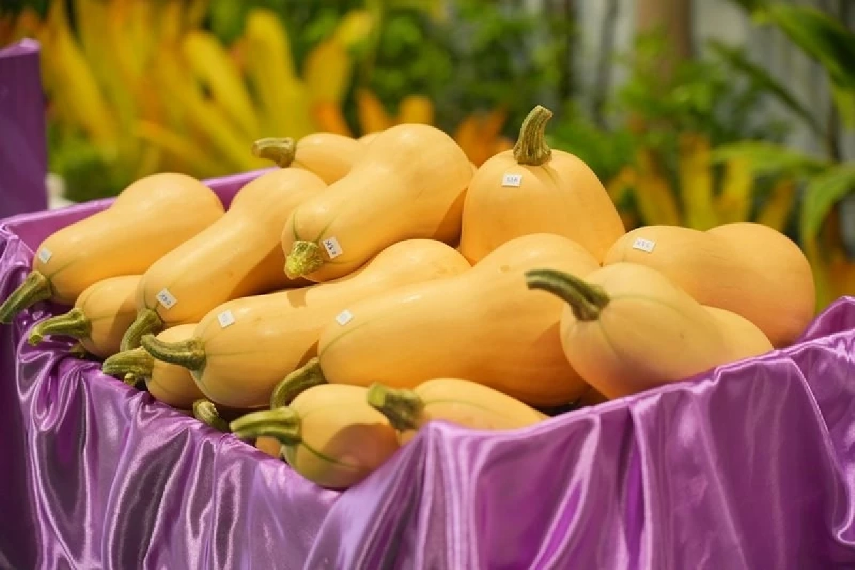 ชวนช้อปผลิตภัณฑ์จากโครงการในพระราชดำริ