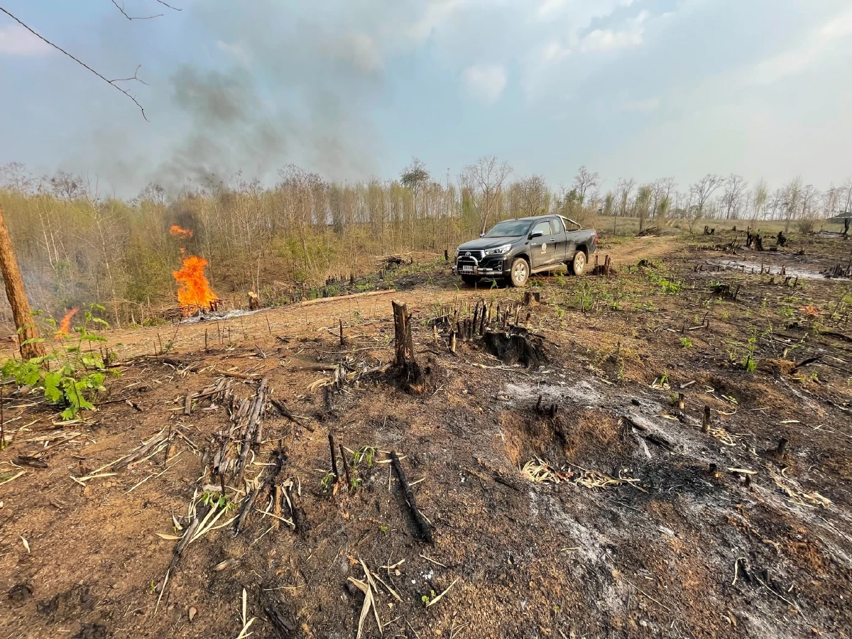 คาหนังคาเขา จนท.รวบหนุ่มแผ้วถาง "เผาป่า" รายแรกของลำปาง ผิดหลายกระทง