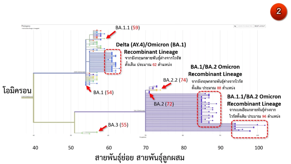 "โอไมครอน" ศูนย์จีโนมฯ เตือนระวังโควิดลูกผสม BA.2-BA.1.1 เจอในเบลเยียม