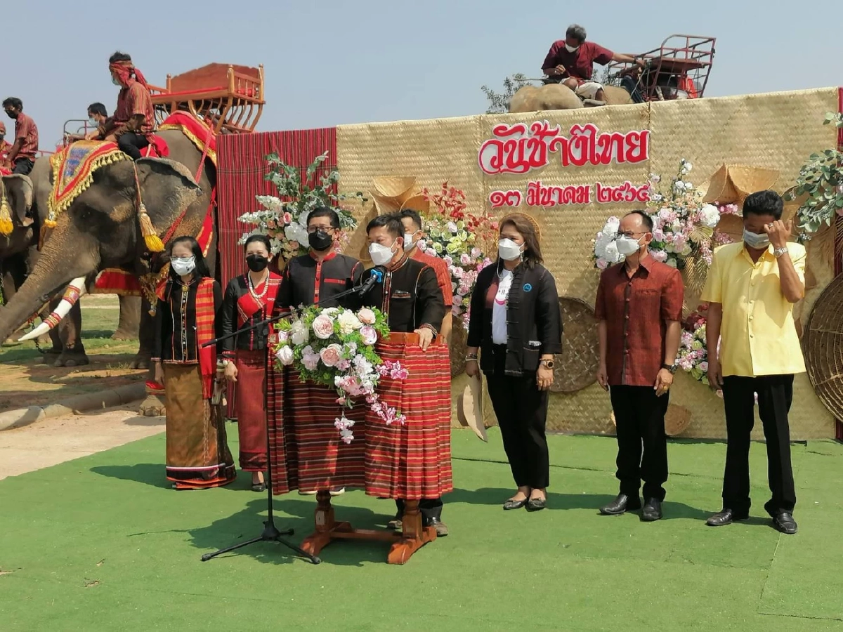 "วันช้างไทย" สุรินทร์ ยิ่งใหญ่ เลี้ยงบุฟเฟ่ต์ผลไม้ "ช้าง" กว่า 80 เชือก