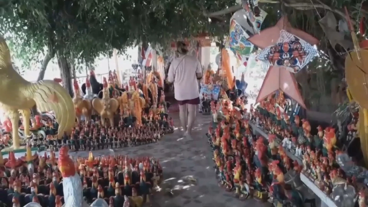 ที่พึ่งทางใจ สำเร็จแล้วนำ "รูปปั้นไก่ชน" มาถวาย 1 คู่ต่อ 1 เรื่องที่ขอ