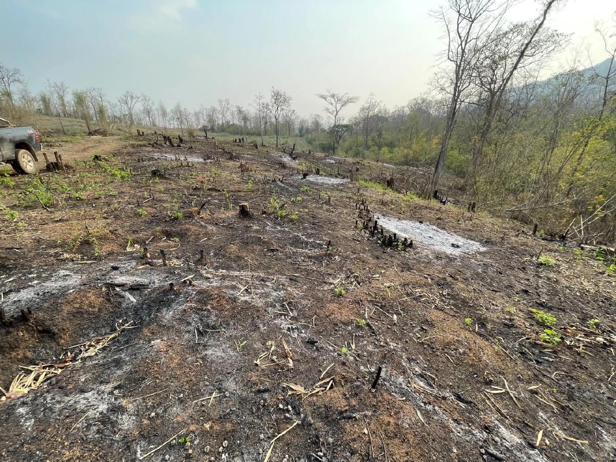 คาหนังคาเขา จนท.รวบหนุ่มแผ้วถาง "เผาป่า" รายแรกของลำปาง ผิดหลายกระทง