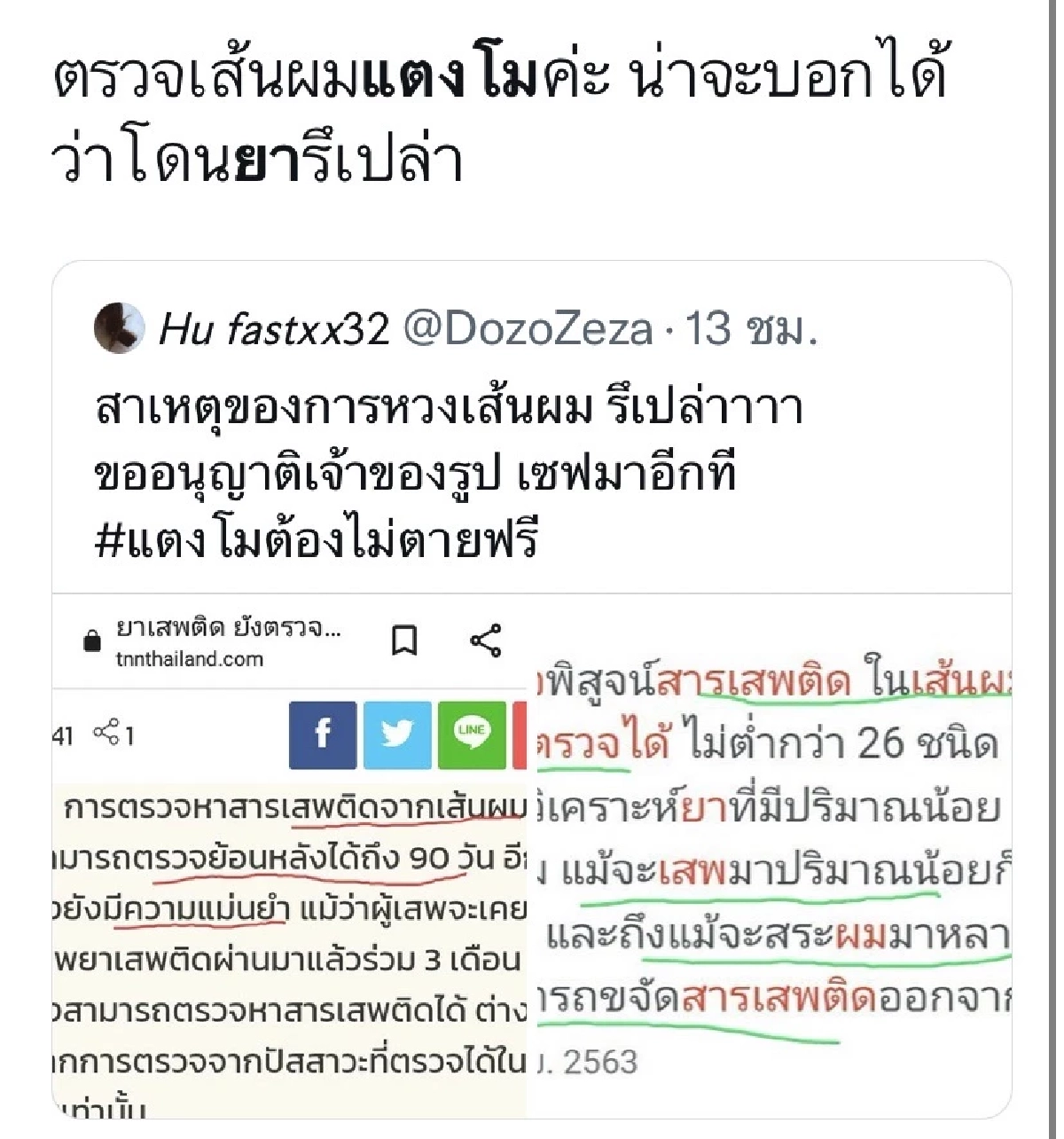 ชาวเน็ตเชื่อ "ยาแมว" ใช้มอมสาว "แตงโมนิดา" อาจโดนมอม แนะตำรวจมีใช้ในวงไฮโซ
