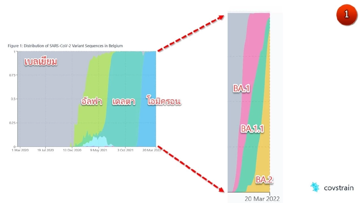"โอไมครอน" ศูนย์จีโนมฯ เตือนระวังโควิดลูกผสม BA.2-BA.1.1 เจอในเบลเยียม