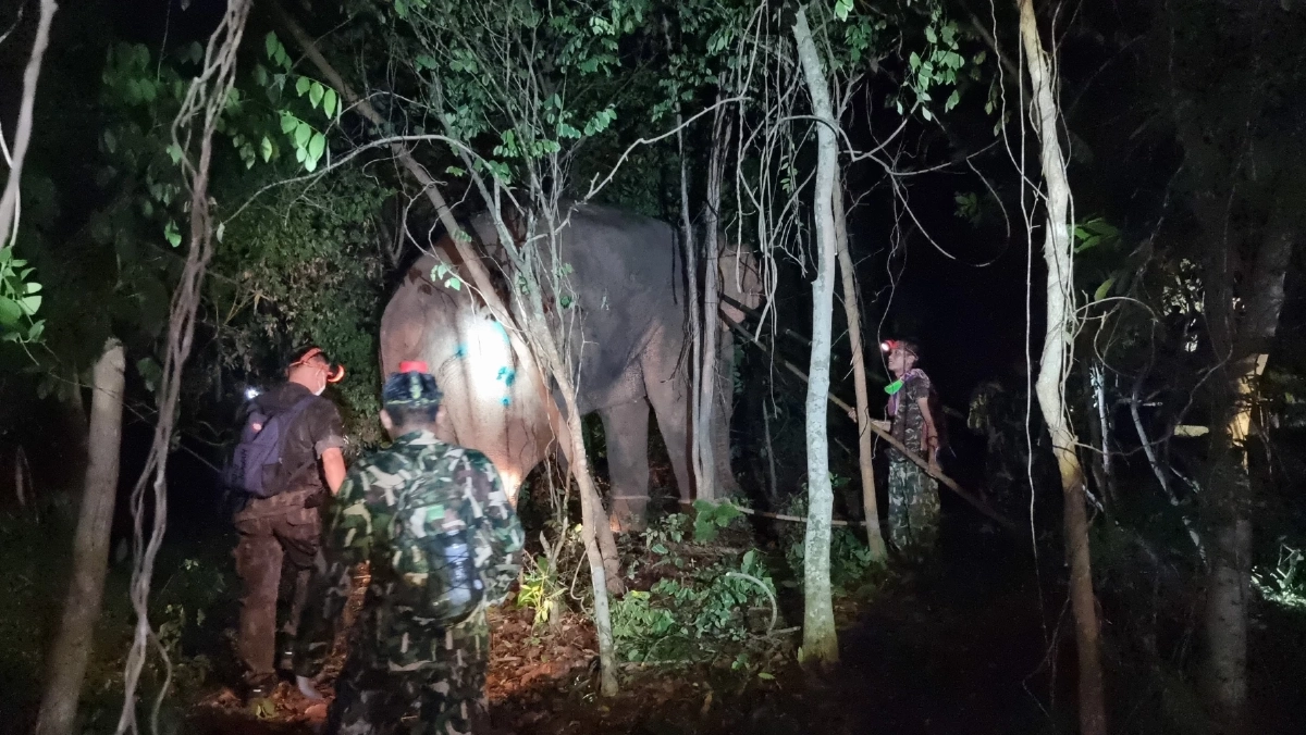 จนท.เปิดปฏิบัติการส่ง "สีดอโหนก"  กลับป่า "อุทยานเขาอ่างฤาไน"  (มีคลิป)