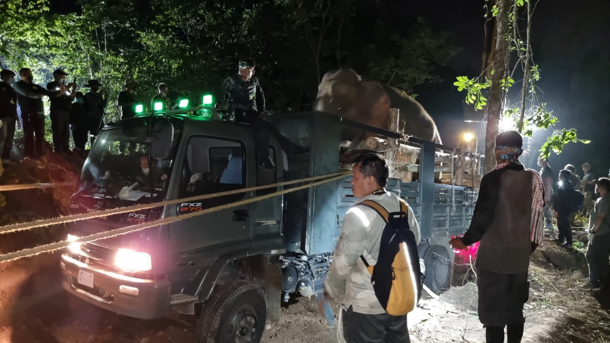 จนท.เปิดปฏิบัติการส่ง "สีดอโหนก"  กลับป่า "อุทยานเขาอ่างฤาไน"  (มีคลิป)