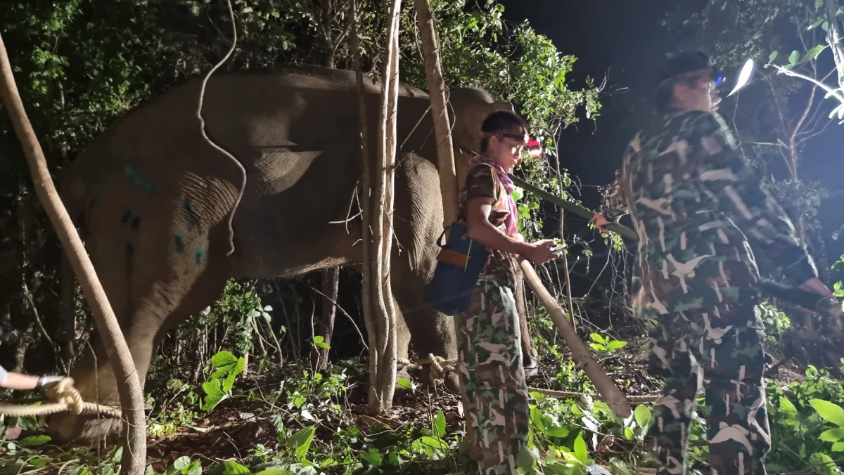 จนท.เปิดปฏิบัติการส่ง "สีดอโหนก"  กลับป่า "อุทยานเขาอ่างฤาไน"  (มีคลิป)