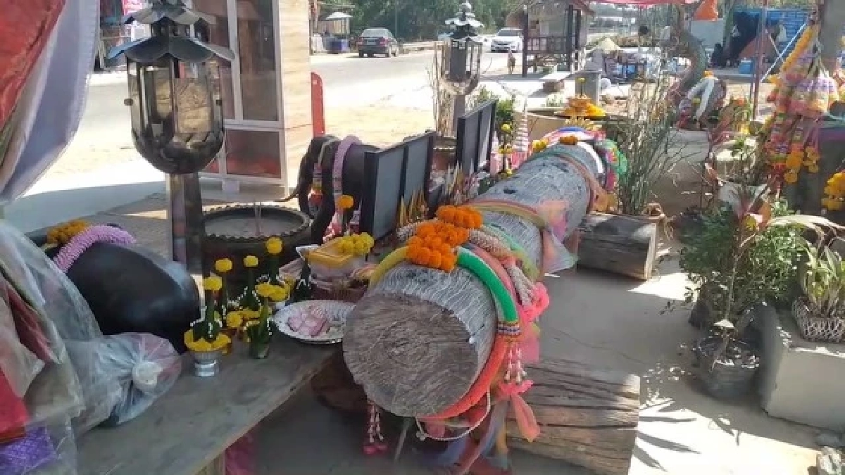 ศาลสั่งจำคุก "ลุงพล"  4 เดือน ปรับ 6 พัน คดีครอบครอง "ไม้มะค่าแต้" รอลงอาญา 1 ปี