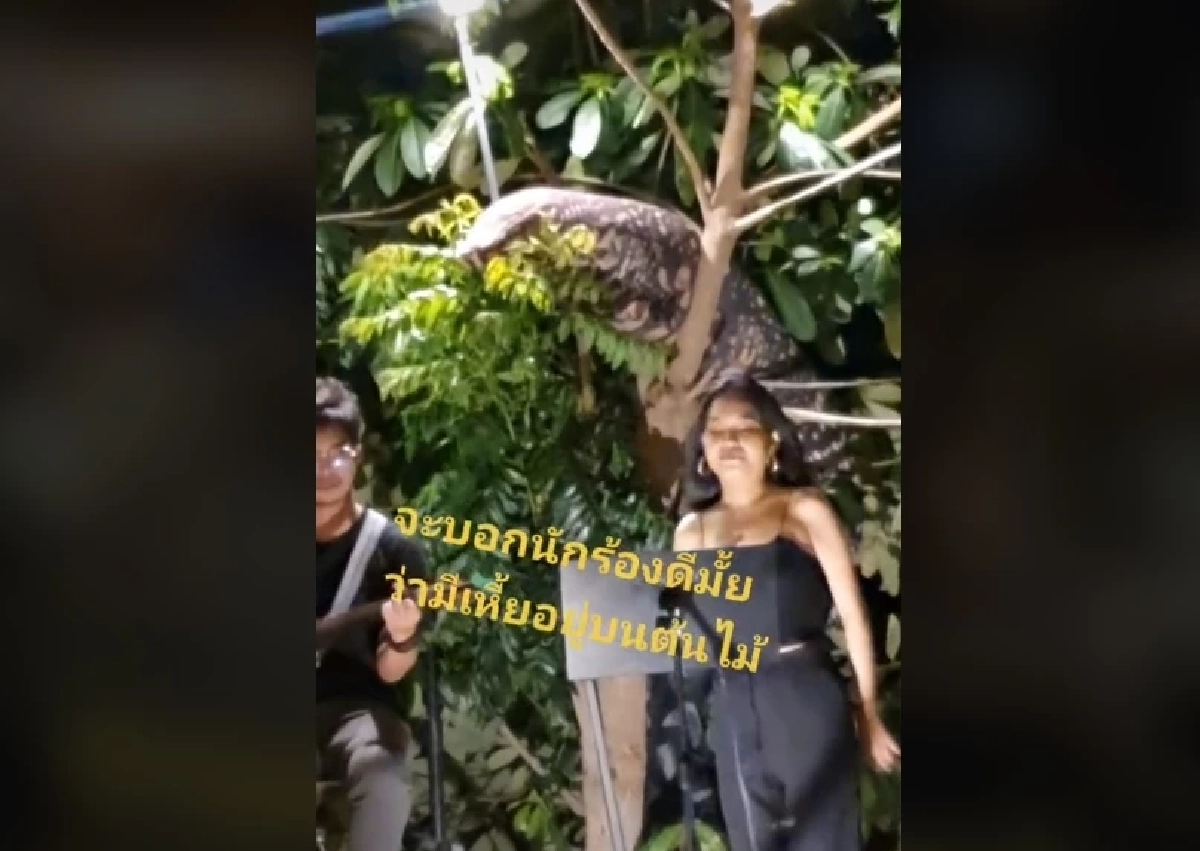 "ตัวเงินตัวทอง" กรี๊ดทั้งโซเชียลเสียวแทนนักร้อง ซูมใกล้ ๆ ถึงกับร้องเห้ย