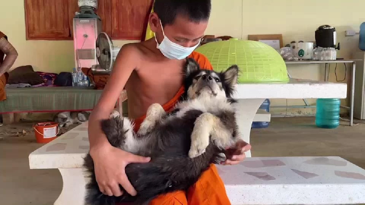 ชาวเน็ตแห่เอ็นดู "เณรน้อย" เขียนจดหมายหา โยมยาย พาเจ้าดุ่ยไปหาหมอ