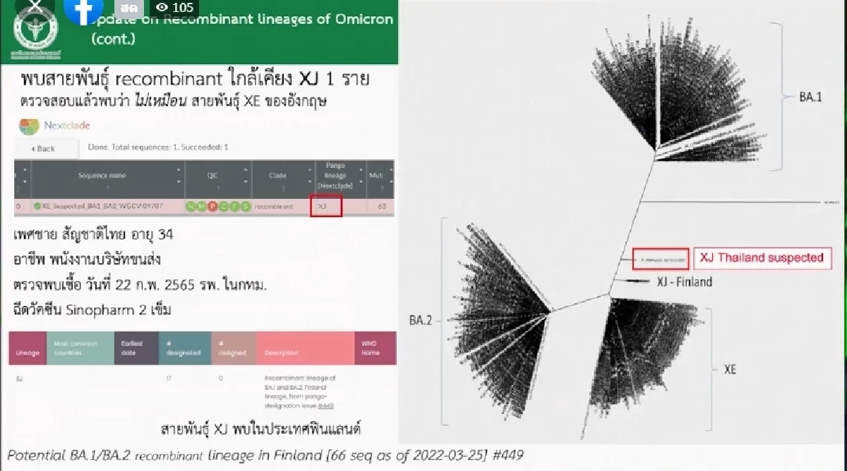 ด่วน พบผู้ติดเชื้อคาดเป็นพันธุ์ผสม "XJ" 1 ราย อังกฤษพบ XE ระบาดเพิ่ม