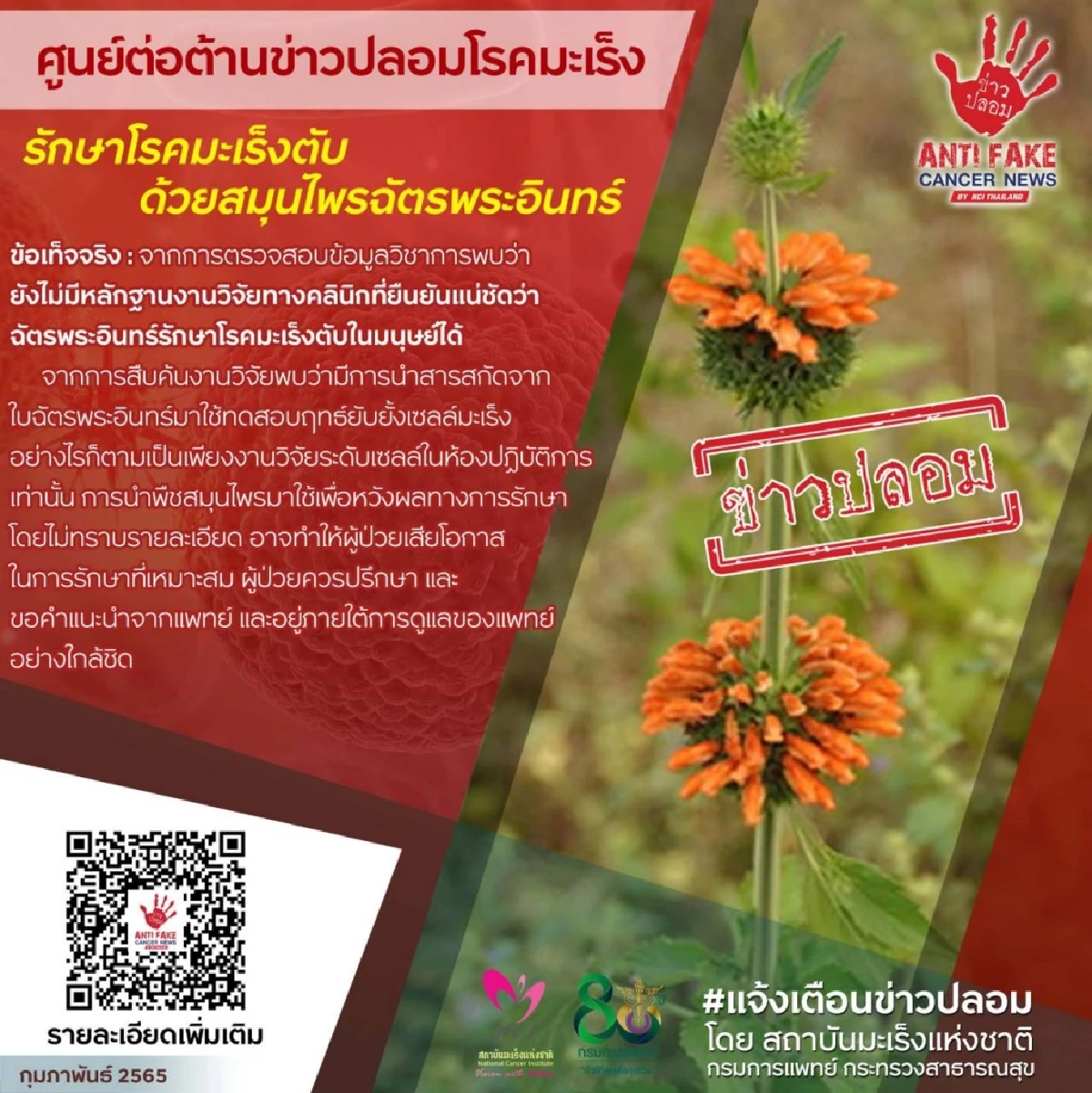 "มะเร็งตับ" รักษาด้วย "ฉัตรพระอินทร์ ยังไม่มีหลักฐานทางคลินิกยืนยัน