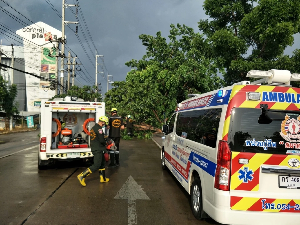 พายุฝน "ลำปาง" ต้นไม้ใหญ่ล้มขวางถนน จนท.เข้าเคลียร์พื้นที่ เปิดเส้นทางแล้ว