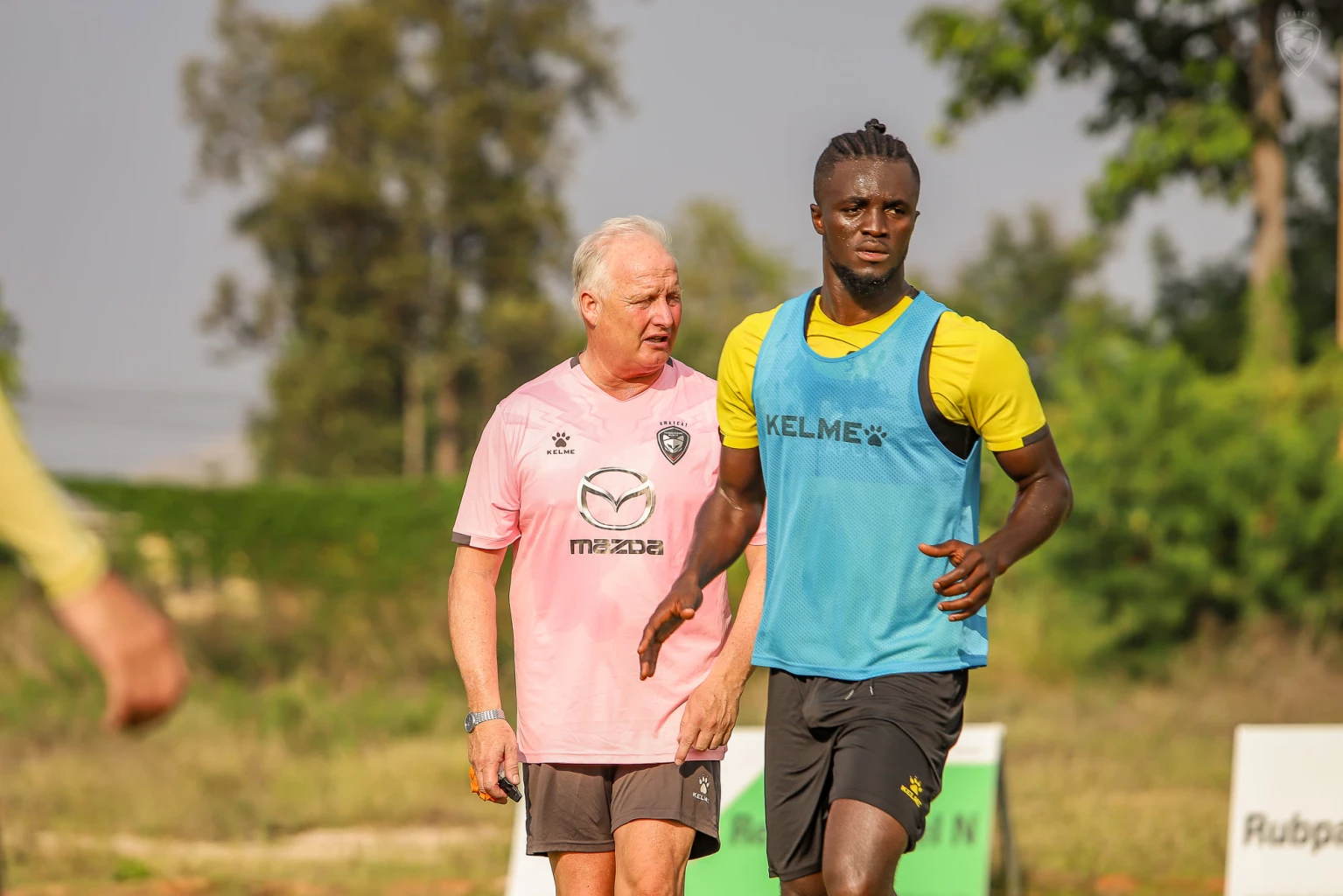 ฟันธงไทยลีก  