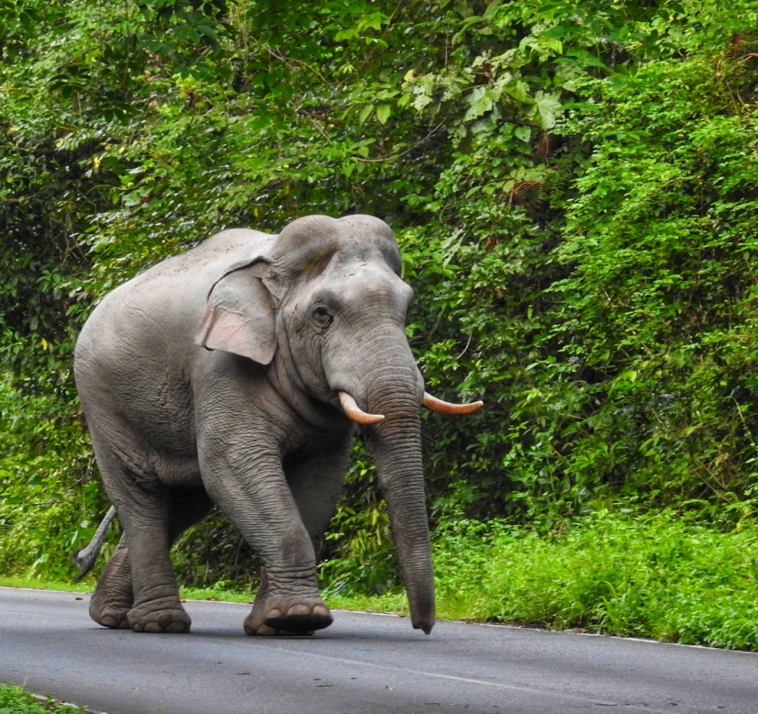 เปิดวาร์ป 