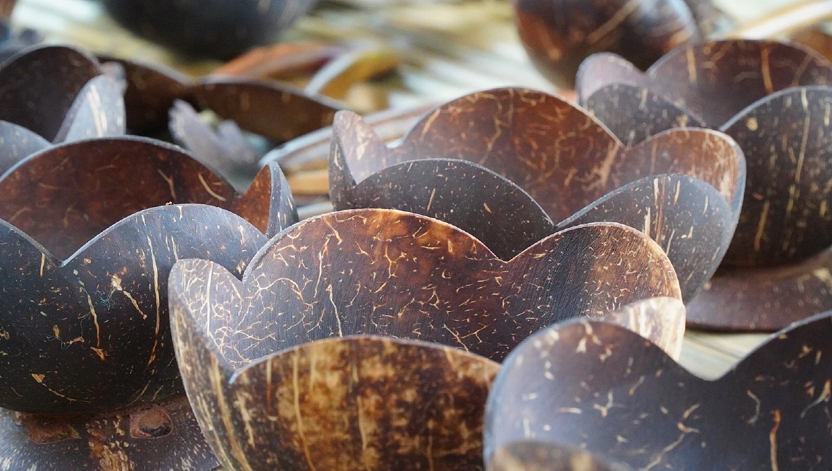 เมื่อ "กะลามะพร้าว" กลับมาเป็นสินค้า ที่สนใจของตลาดสุขภาพอีกครั้ง