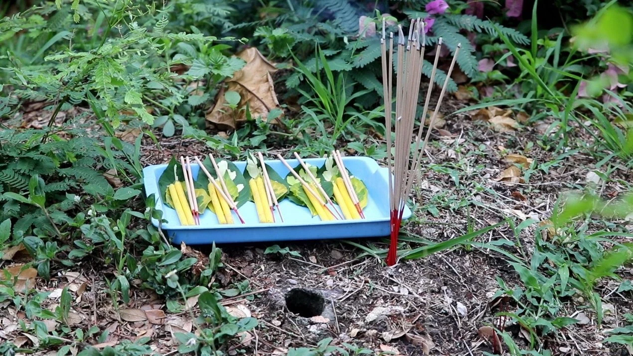 รอมาทั้งวัน มาแล้ว เลขพญาบึ้ง อ่างทอง เสี่ยงทาย 