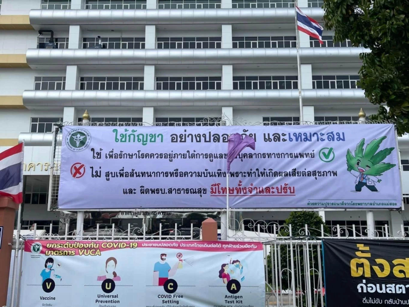 สำนักการแพทย์ รายงาน "ชัชชาติ" มีผู้เสพ "กัญชา" เสียชีวิตแล้ว 1 ราย