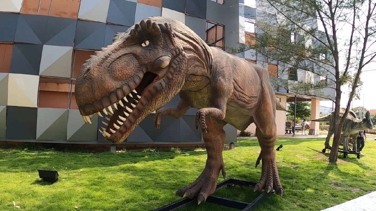 เตรียมออนทัวร์ ท่องโลก "ไดโนเสาร์" ตะลุยพืชโบราณถิ่นล้านนา จ.เชียงใหม่