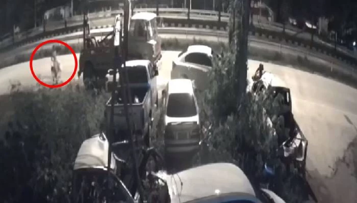 เจ้าของอู่รถงง คน "ขโมย" ตุ๊กตาใน ซากรถ คนตาย ตกดึกรีบมาโยนคืน 