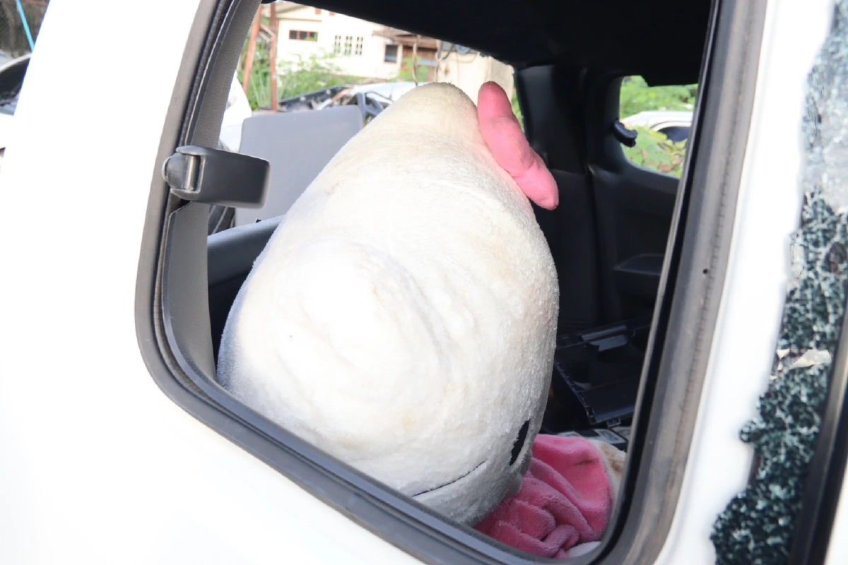 เจ้าของอู่รถงง คน "ขโมย" ตุ๊กตาใน ซากรถ คนตาย ตกดึกรีบมาโยนคืน 