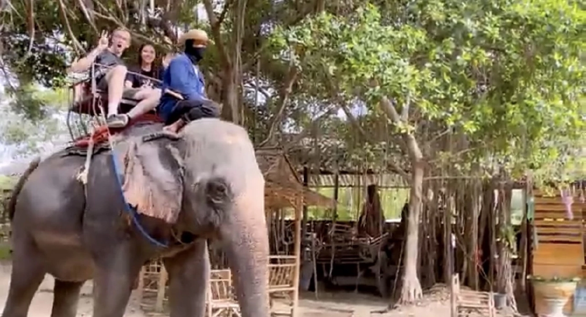 มุ้งมิ้ง "เอวา" เปิดความลับ ผมเปียน่ารักของหนู เป็นฝีมือช่างคนนี้?