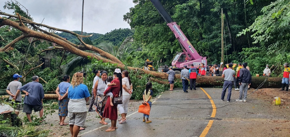 "ฝนตกหนัก" ทั้งคืน ทำ "ต้นไม้ล้มทับบ้าน" พังเกือบทั้งหลัง จนท.เร่งช่วย 