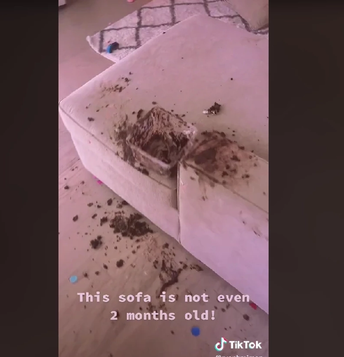 ภาพจาก tiktok