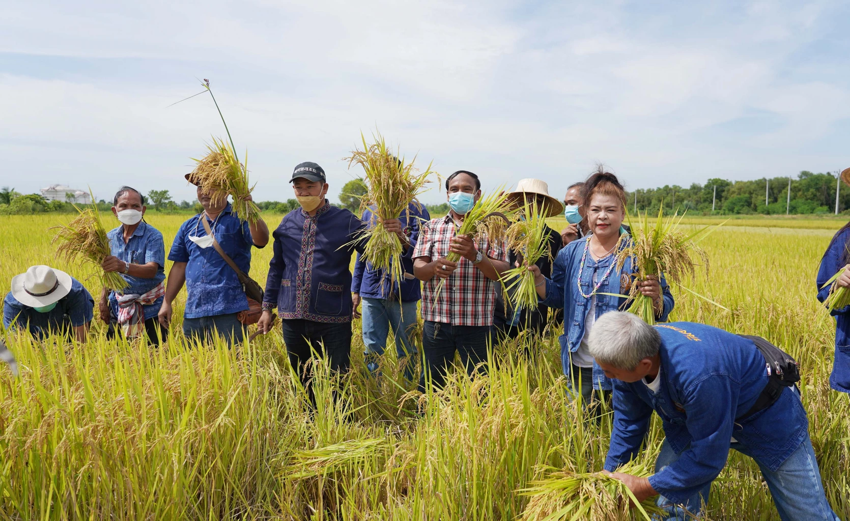 "ชัช เตาปูน" ลุยเกี่ยวข้าว ลั่นไม่เคยขาย มีไว้แจกอย่างเดียว