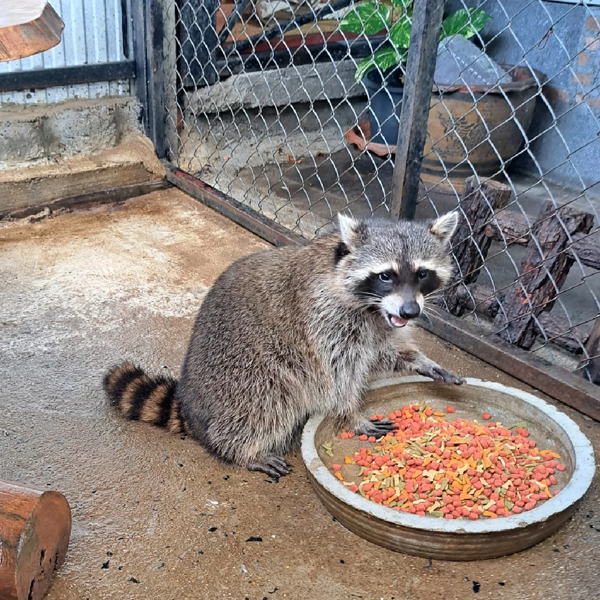 ภาพจากเฟซบุ๊ก