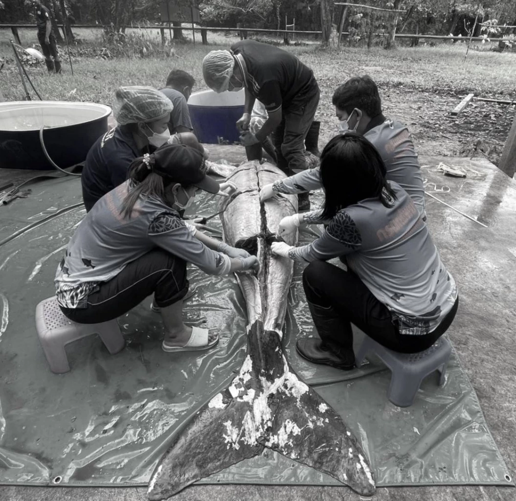 “กรมทะเลและชายฝั่ง