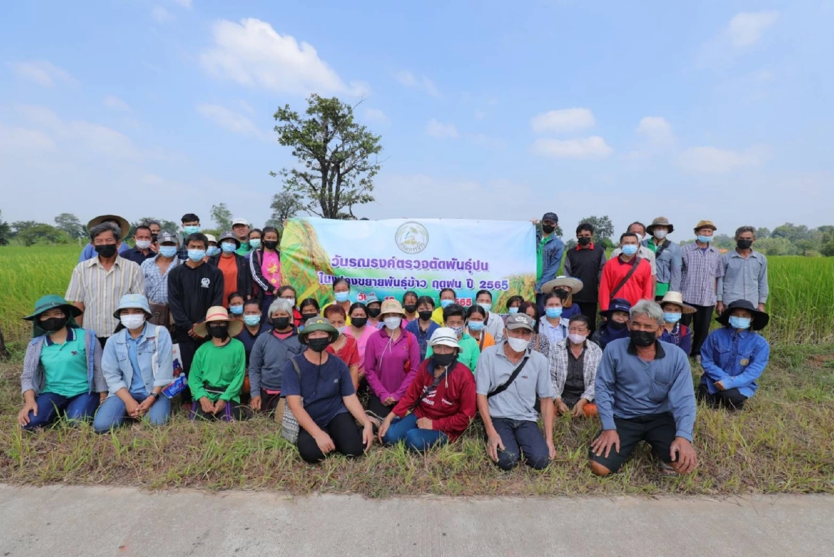 ศูนย์ข้าวชุมชนบ้านหนองลุมพุก สู่ การจำหน่ายเมล็ดพันธุ์ข้าวคุณภาพ