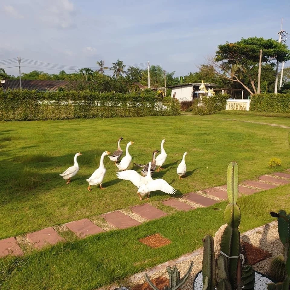 ฝูชิง คนเปิดดวง จัด "คอร์สอบรมสมาธิ" เรียนธรรมะ รู้ธรรมชาติ เข้าใจตนเอง