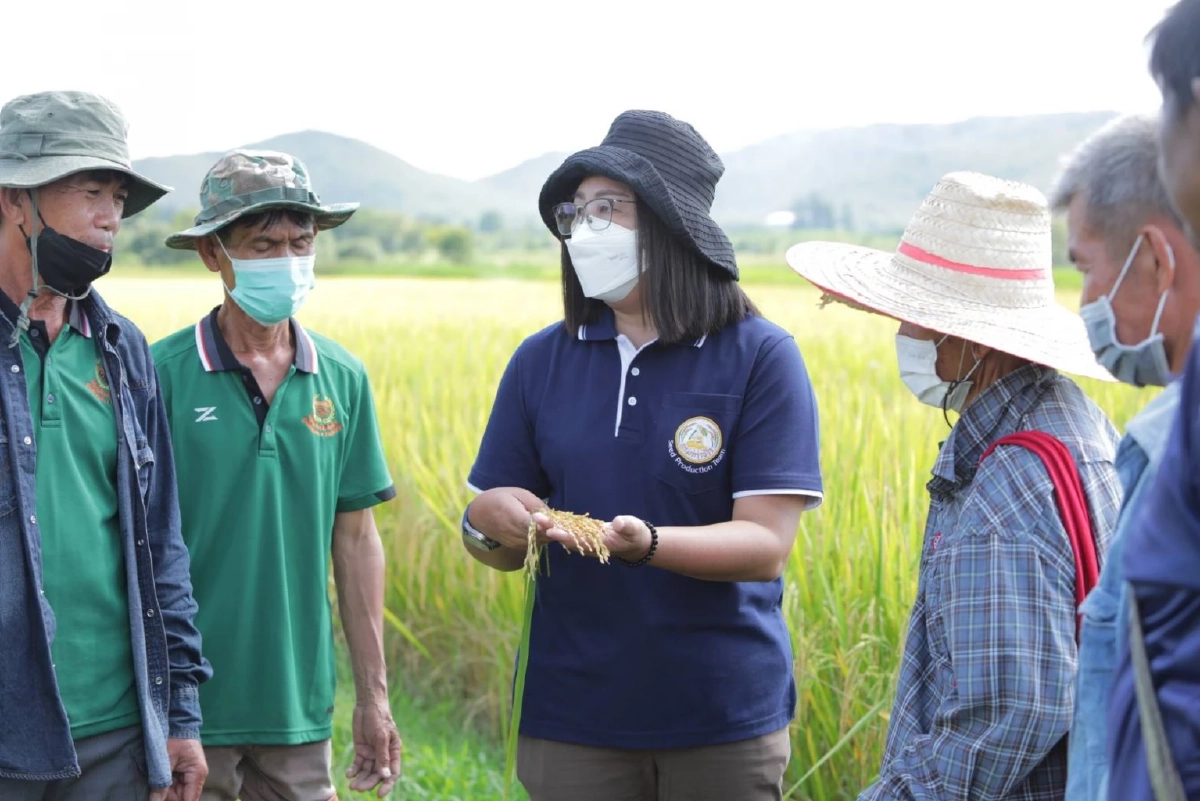 ศูนย์เมล็ดพันธุ์ข้าวเชียงใหม่ ลุย ยกระดับคุณภาพสินค้ามาตรฐานสินค้าเกษตร